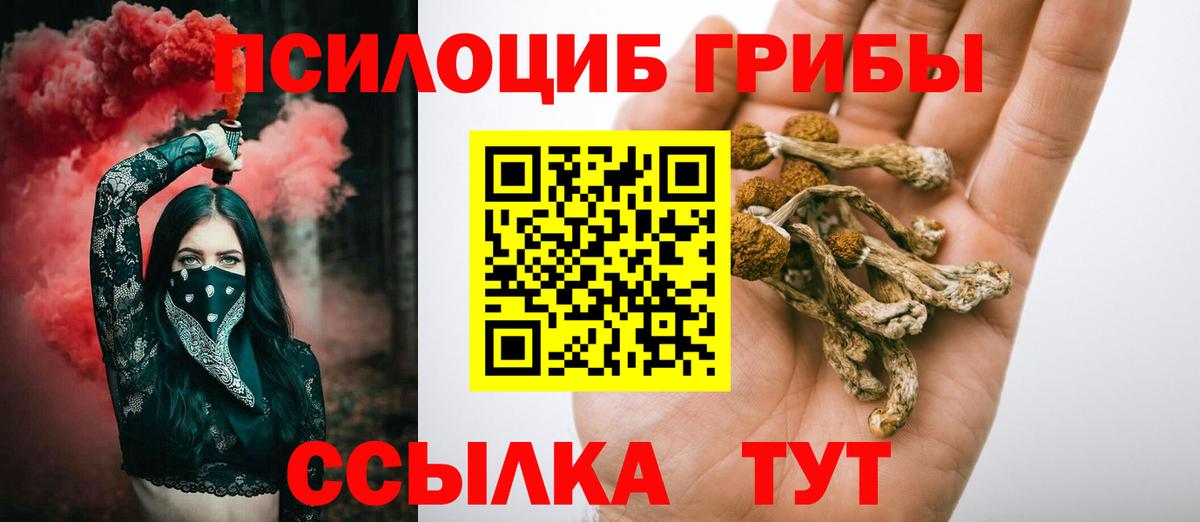 Подольск  Галлюциногенные грибы Magic Shrooms  Вход с VPN 